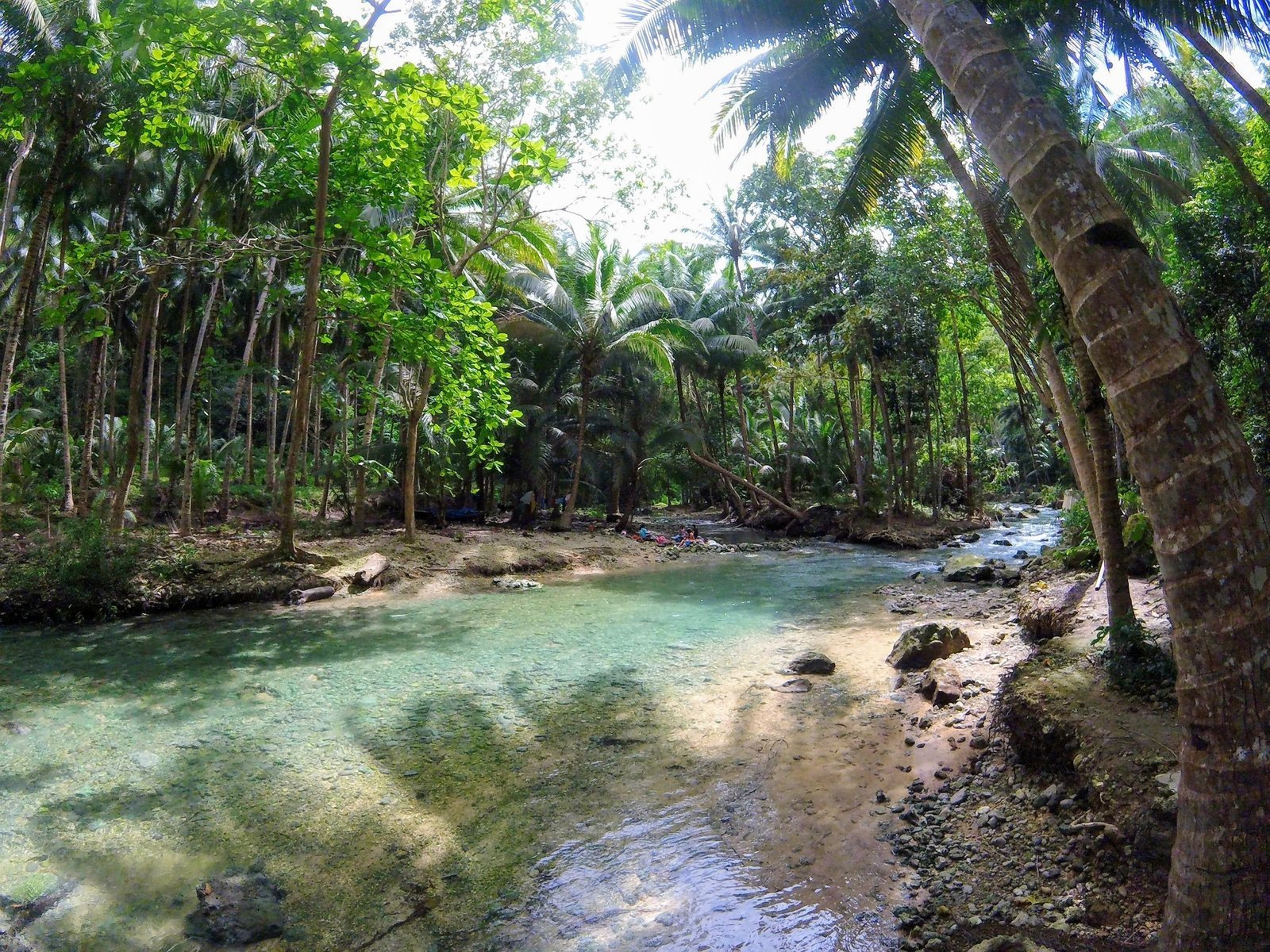 Mini reisgids voor Cebu en bijbehorende eilanden