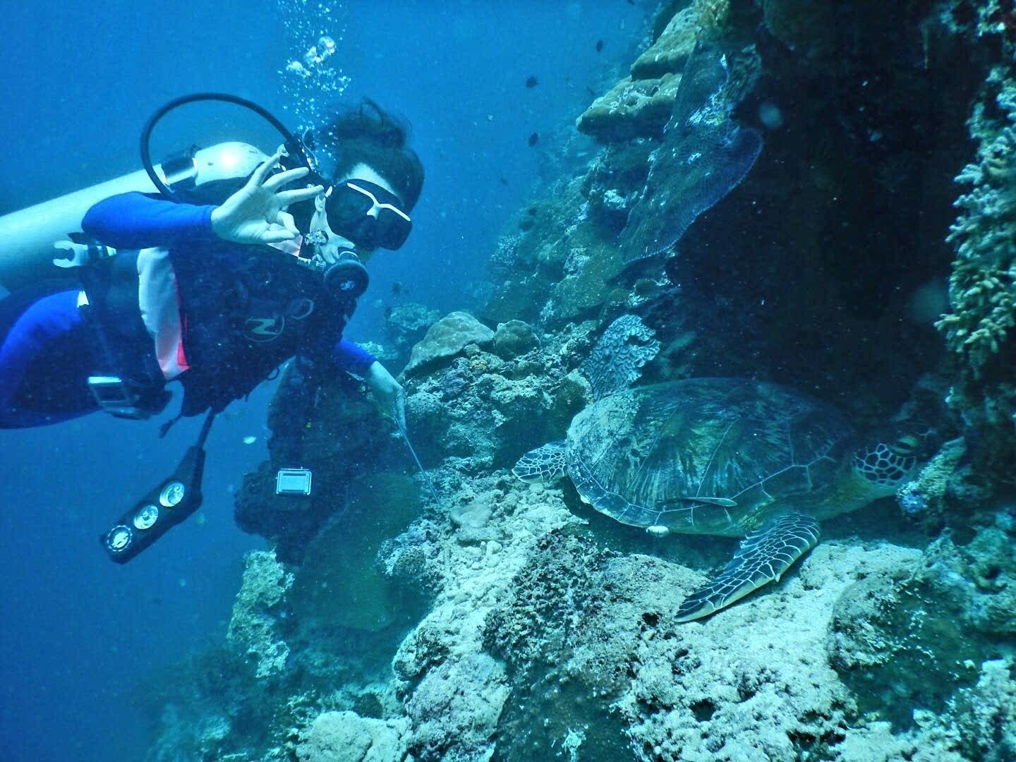 Moalboal - Snorkelen met miljoenen sardienen, duiken en springen van watervallen