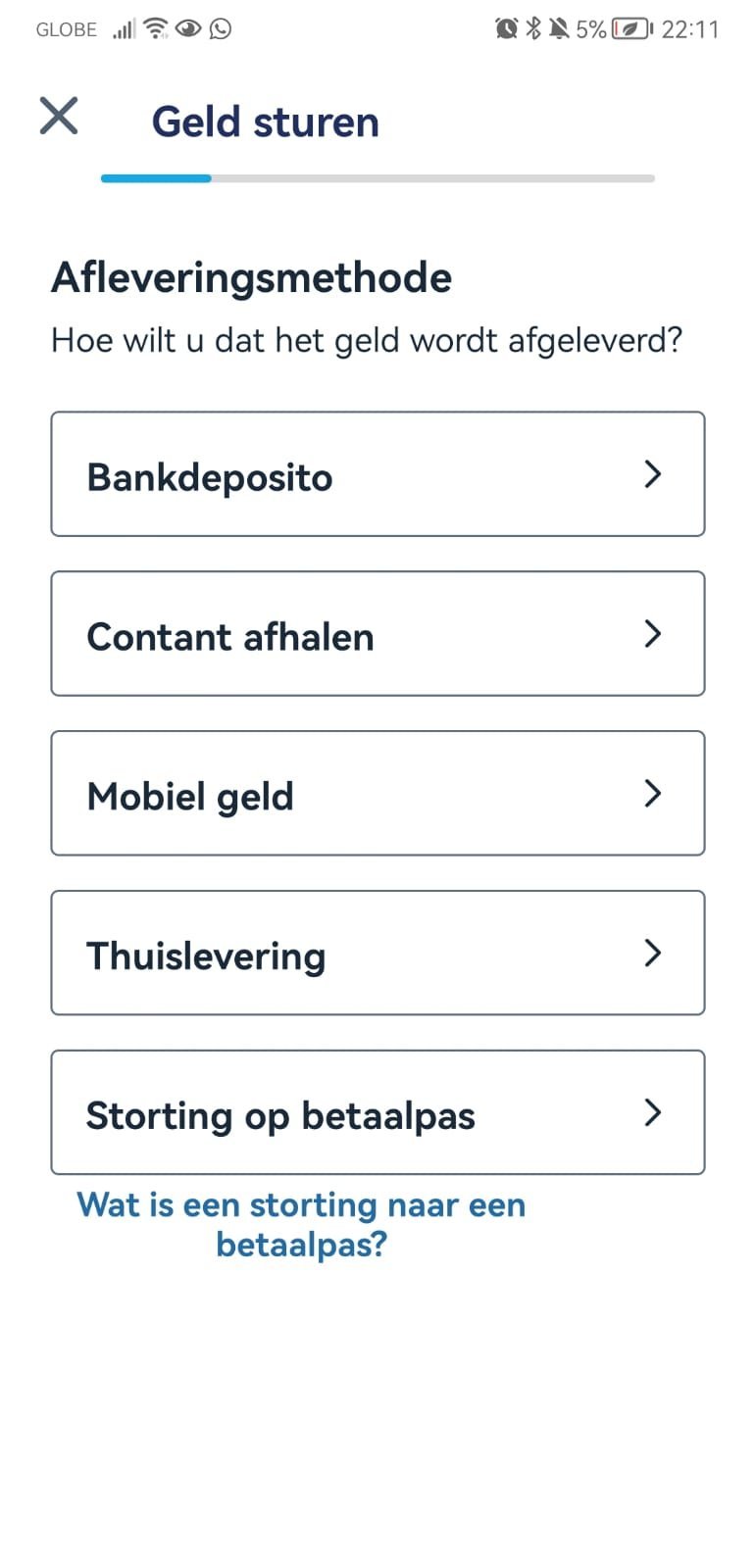 Bespaar geld met Remitly