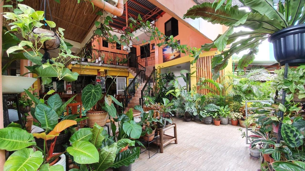 Bohol